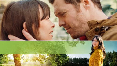 Midway to Love Bild 1