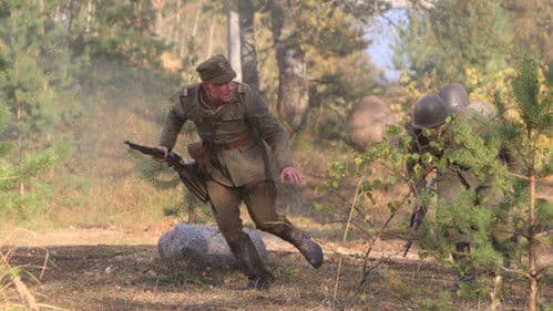 1939 Battlefield Westerplatte Bild 7