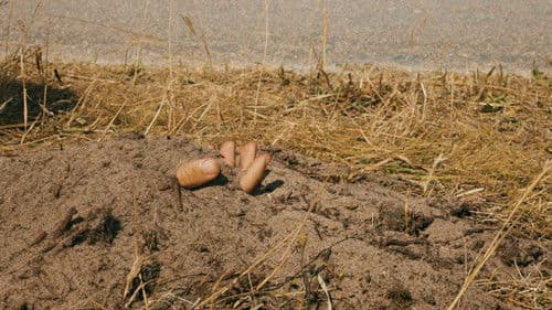 Destination Gotland Bild 6