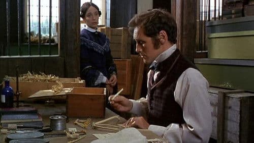 Engel und Insekten Bild 3