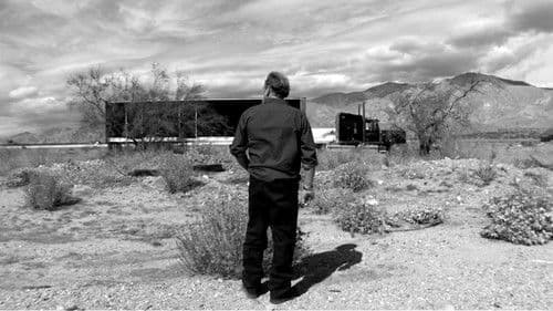 The Bunny Game Bild 4