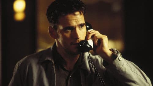 Albino Alligator Bild 3