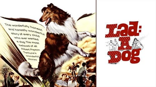 Lad: A Dog Bild 1