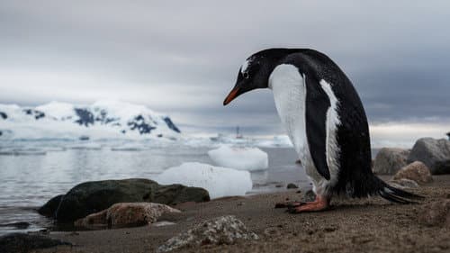 Die Karte zum Paradies Bild 5