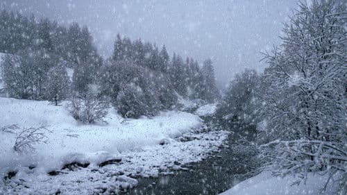 Der ersehnte Schnee Bild 1