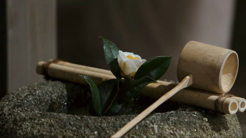 利休にたずねよ Bild 1