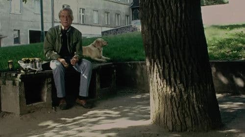 Stary człowiek i pies Bild 2