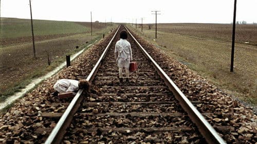 Der Geist des Bienenstocks Bild 2