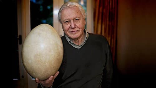 Attenborough and the Giant Egg Bild 2