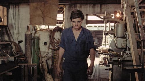 Das Haus in der dritten Straße Bild 3