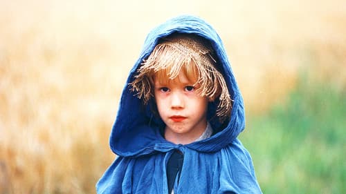 Prinz Goldkörnchen Bild 2