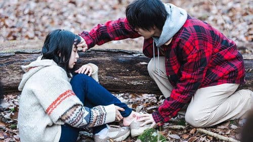 ヒッチハイク Bild 2