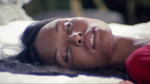 Black Emanuelle - Stunden wilder Lust Bild 3