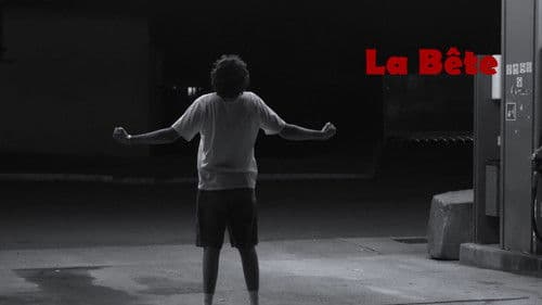 LA bête du Gévaudan 3 Bild 2