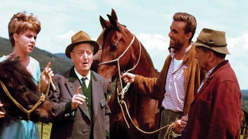 Mariandls Heimkehr Bild 1