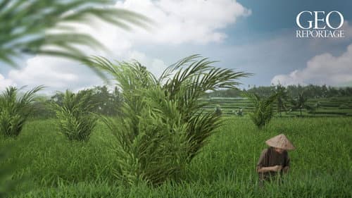 ARTE 360° Reportage Bild 4