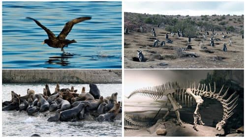 Patagonien 3D - Auf den Spuren von Charles Darwin: Von Buenos Aires bis Cabo dos Bahias Bild 1