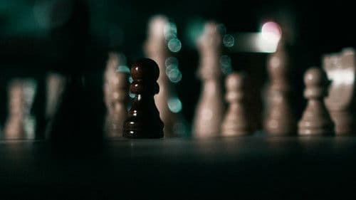 Pawns Bild 5