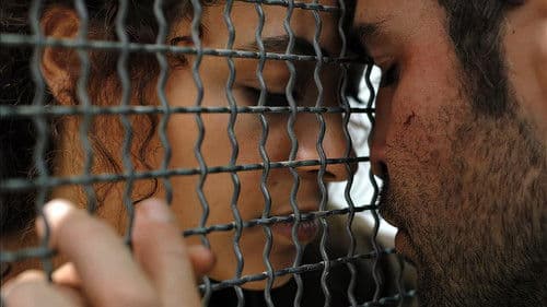 Granatäpfel und Myrrhe Bild 3