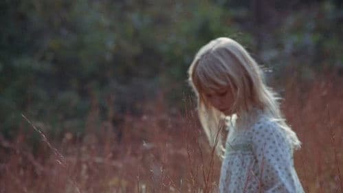 Die Liebe eines Sommers Bild 6