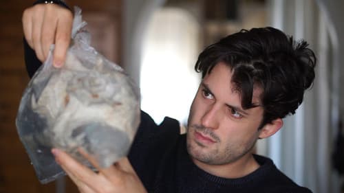 Birth of Venus Bild 3