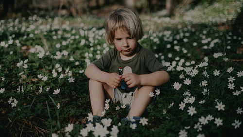 Wild und Frei Bild 3