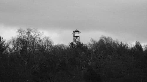 Black Soil, Green Grass Bild 2