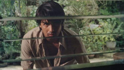 Shake, Rattle & Roll Bild 5