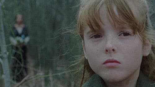 Das Haus an der Friedhofmauer Bild 4