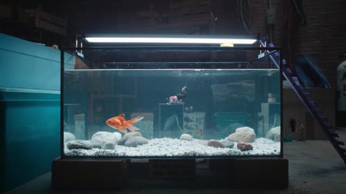 Der Mann, der immer kleiner wurde Bild 7