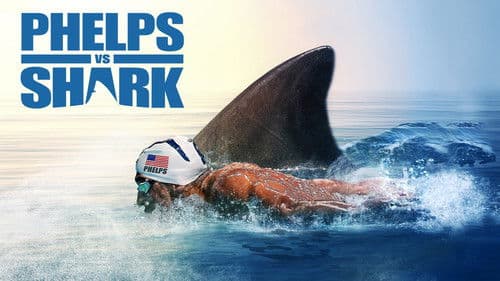 Phelps vs Shark Bild 2
