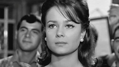 Διχασμός Bild 8