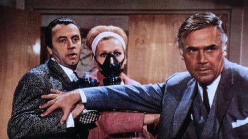 Feuer frei auf Frankie Bild 1