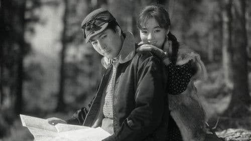 「流木」より　女豹とならず者 Bild 1