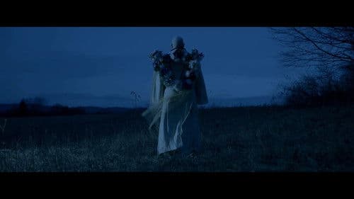 The Blacklight Bild 4