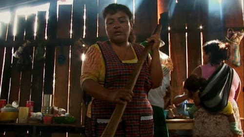 Después del Zapatismo Bild 1