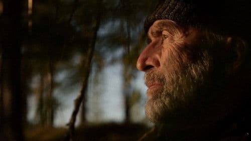 Das Flüstern der Wälder Bild 4