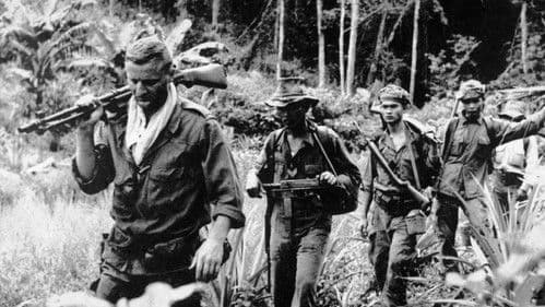 Die 317. Sektion Bild 3