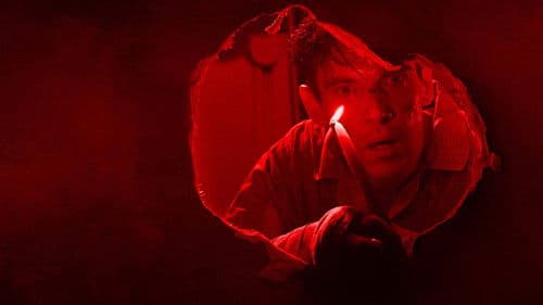 Hide and Seek Bild 4