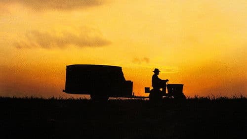 The Straight Story - Eine wahre Geschichte Bild 2