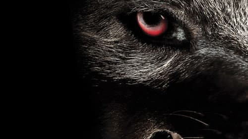 Monster Wolf Bild 2