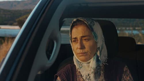 Annemin Solgun Çiçekleri Bild 2