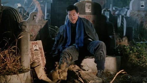 Cover Hard II Bild 2