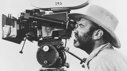Terrence Malick - Suche nach dem Unsichtbaren Bild 1