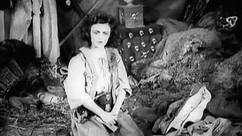 Die Bergkatze Bild 5