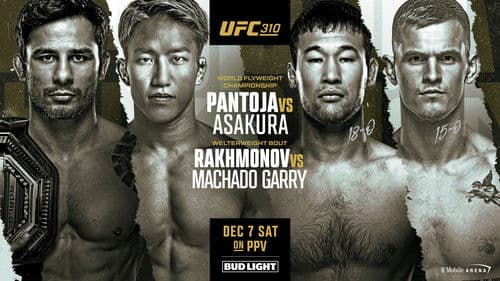 UFC 310: Pantoja vs. Asakura Bild 8
