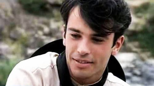 Flores amarillas en la ventana Bild 1