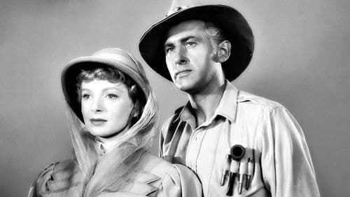 König Salomons Diamanten Bild 6