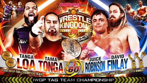 NJPW Wrestle Kingdom 14: Night 1 Bild 7