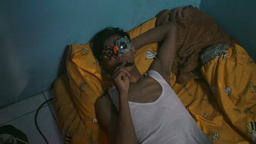 Steal Express Bild 3